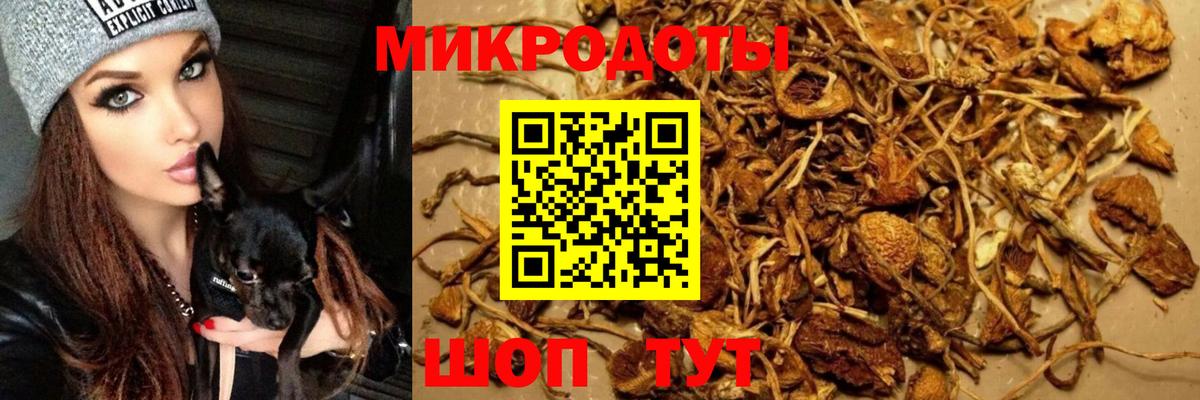купить   Псилоцибиновые грибы Magic Shrooms  Череповец  Вход с VPN  Псилоцибиновые грибы прущие грибы 