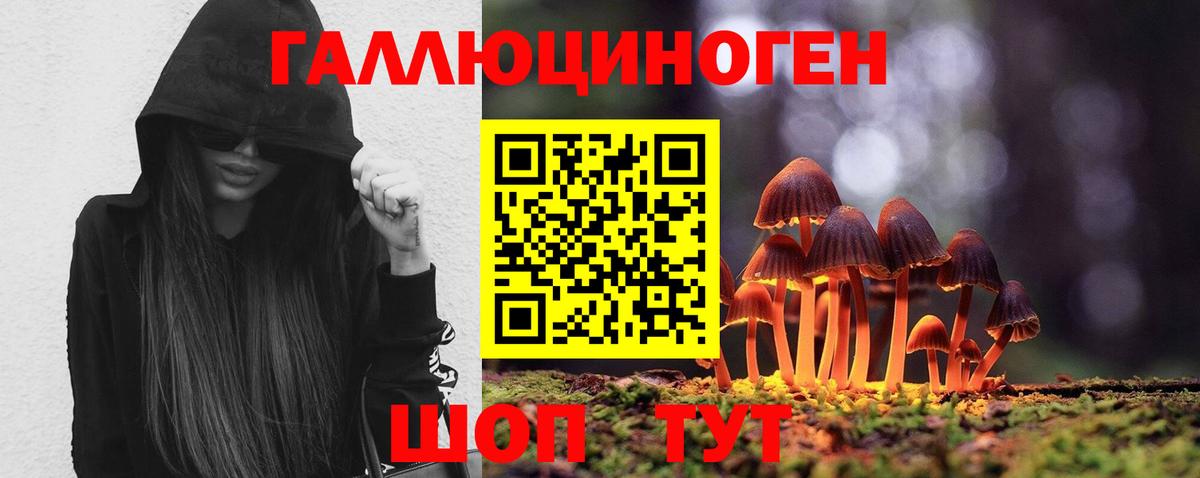 Псилоцибиновые грибы мухоморы Череповец